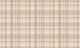 Modern western stripes