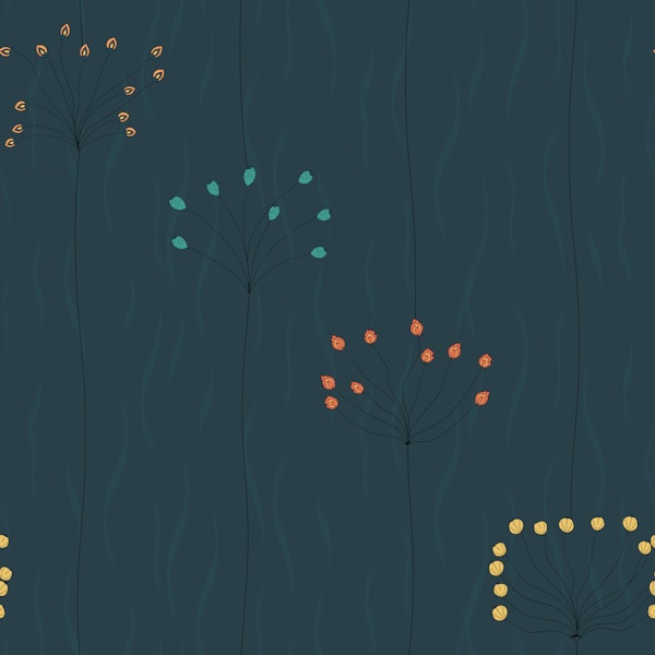 Midnight Seed Drift