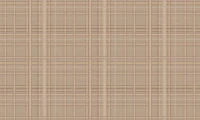 Modern western stripes 02 tapete