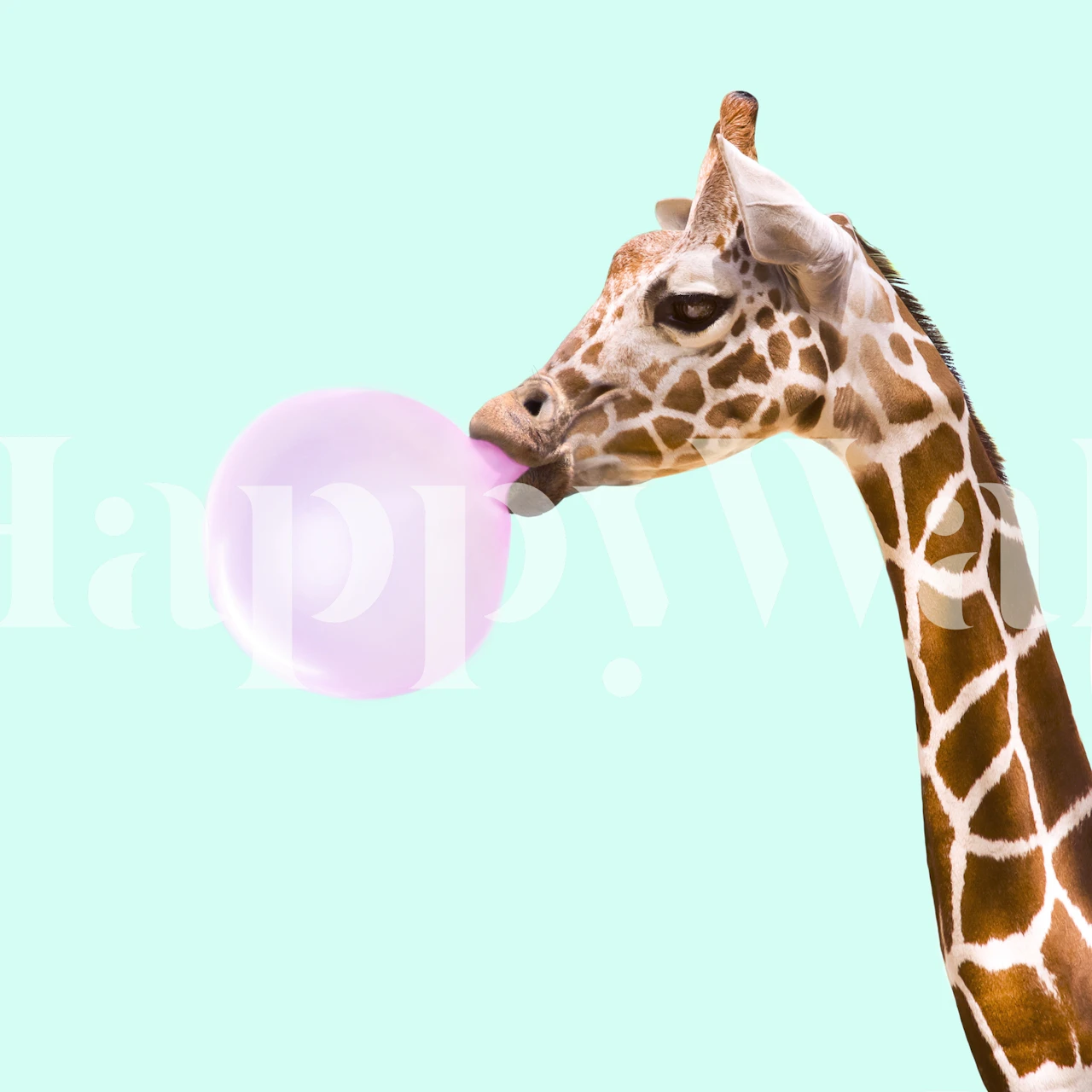 Giraffe mit blauer Hintergrund und rosa Kaugummiball, lustige Tapete