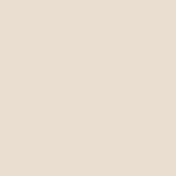 Soft Beige Minimalist Solid