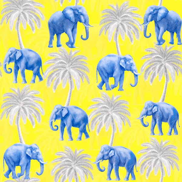 Elephantum 01