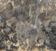 Abstract Forest Texture in Neutral Tones