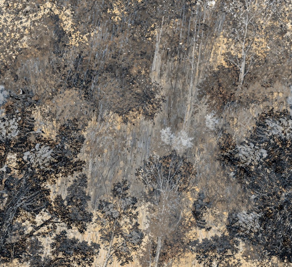 Abstract Forest Texture in Neutral Tones