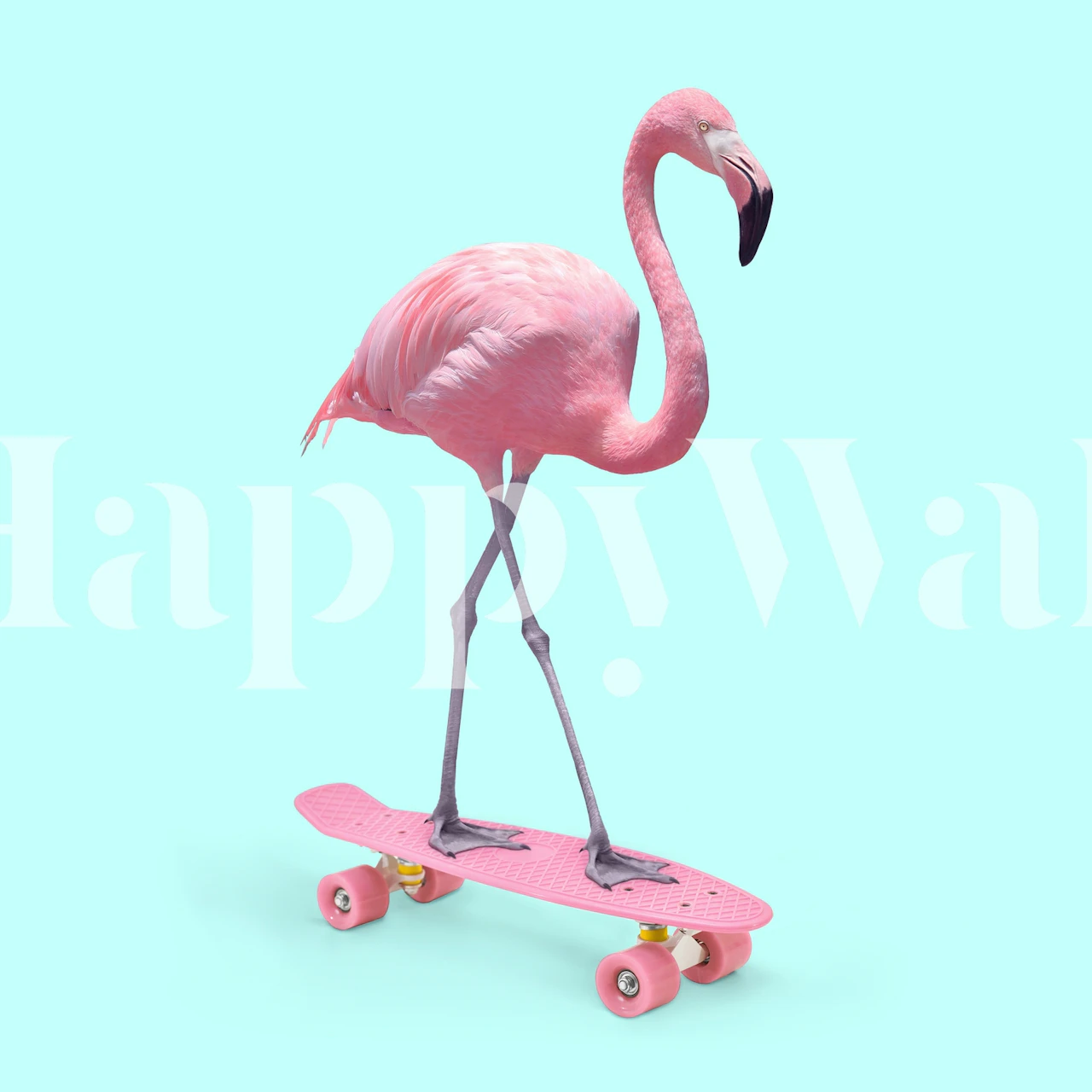 Colorful pink flamingo on skateboard design wallpaper