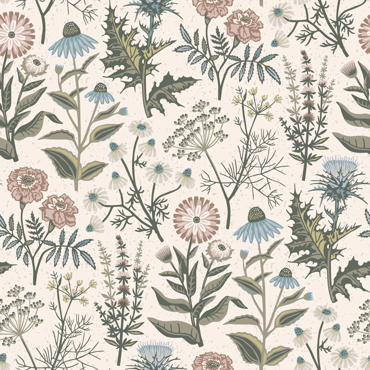 echinacea