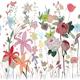 Whimsical Wildflower Garden