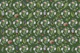 Vintage Botanical Parrots Green
