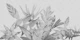 Monochrome Tropical Botanicals