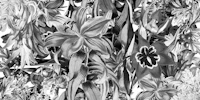 Black and White Jungle Leaves tapet