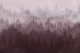 Misty Pine Forest in Blush Pink