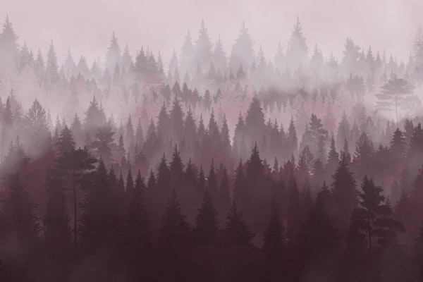Misty Pine Forest in Blush Pink