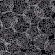 Organic structure black and white