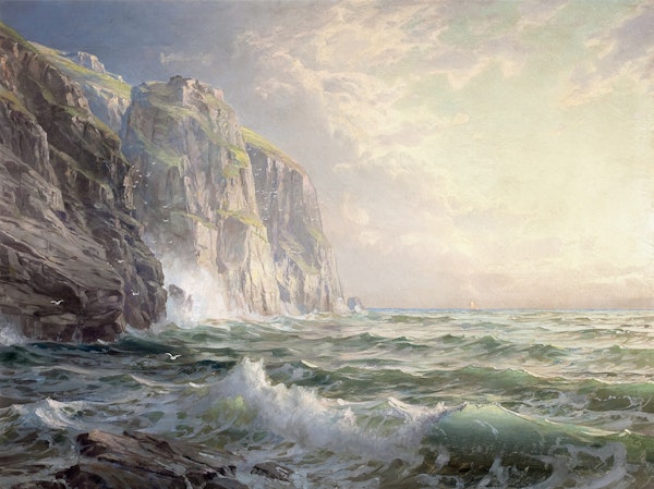 Stunning Seacliffs in Cool Mist