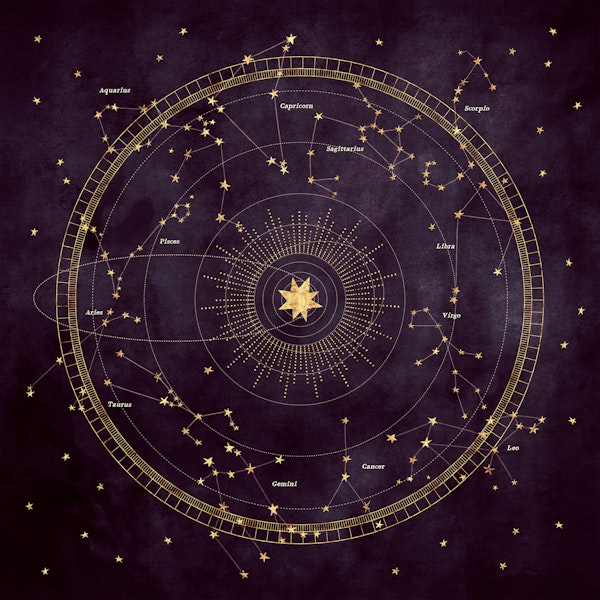 Eggplant Astro Wheel