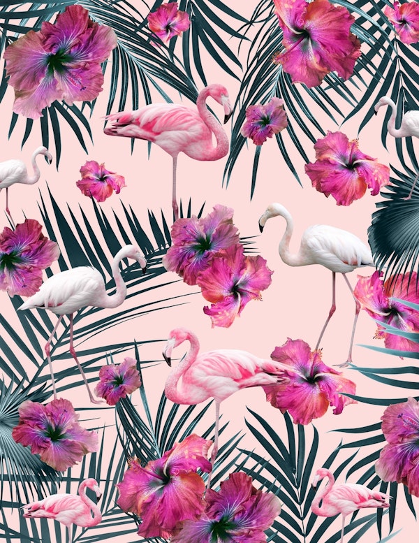 Flamingo Hibiscus Siesta 2