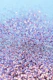 Mermaid Ocean Glitter Glam 1