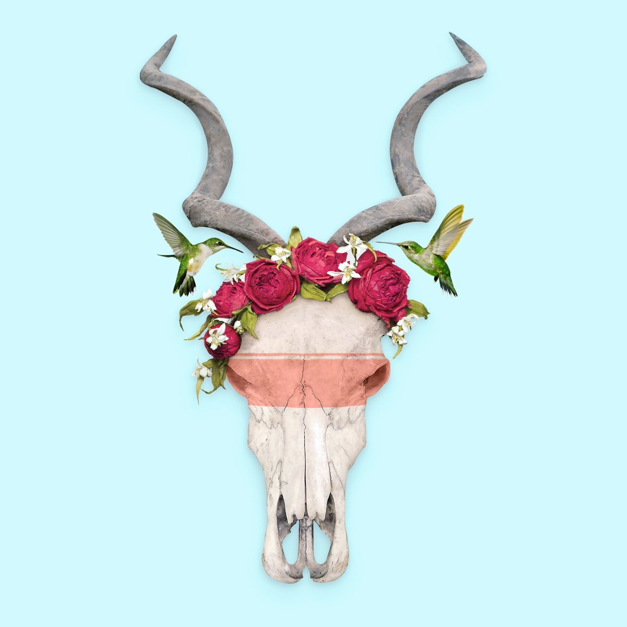 FRIDA SKULL wallpaper - Happywall