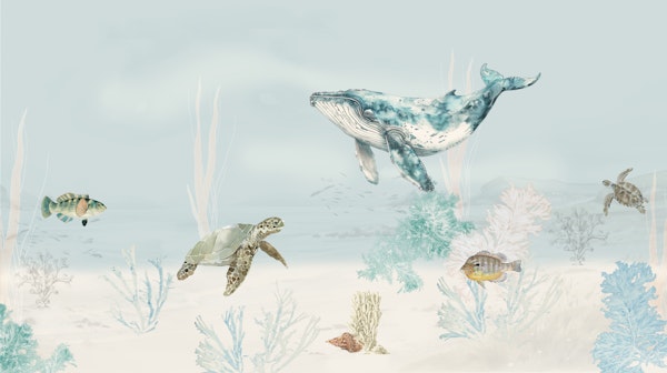 Ocean Dream
