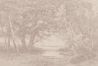 Countryside Soft Terra tapete