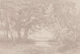 Countryside Soft Terra