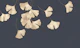 Sakuya Golden Ginkgo Leaves on Navy
