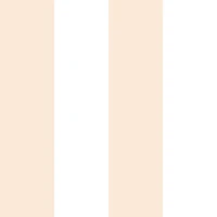 Soft cream salmon vertical stripes 01 papiers peint