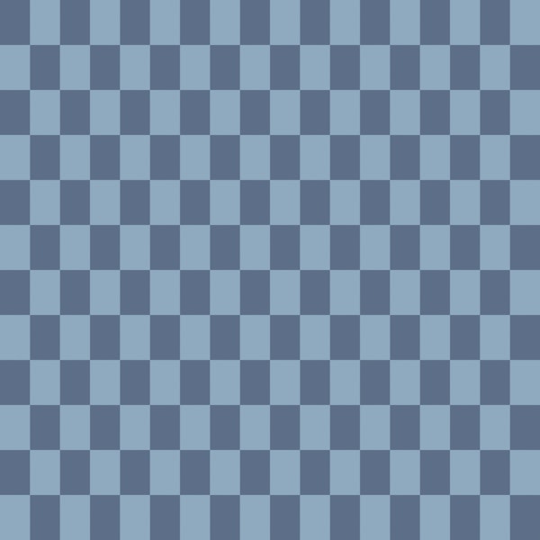 Navy and Sky Blue Checks