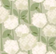 Mid Century Hydrangeas - White Hydrangea