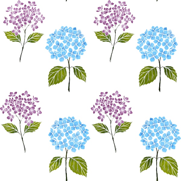 Blue & Purple Hydrangea