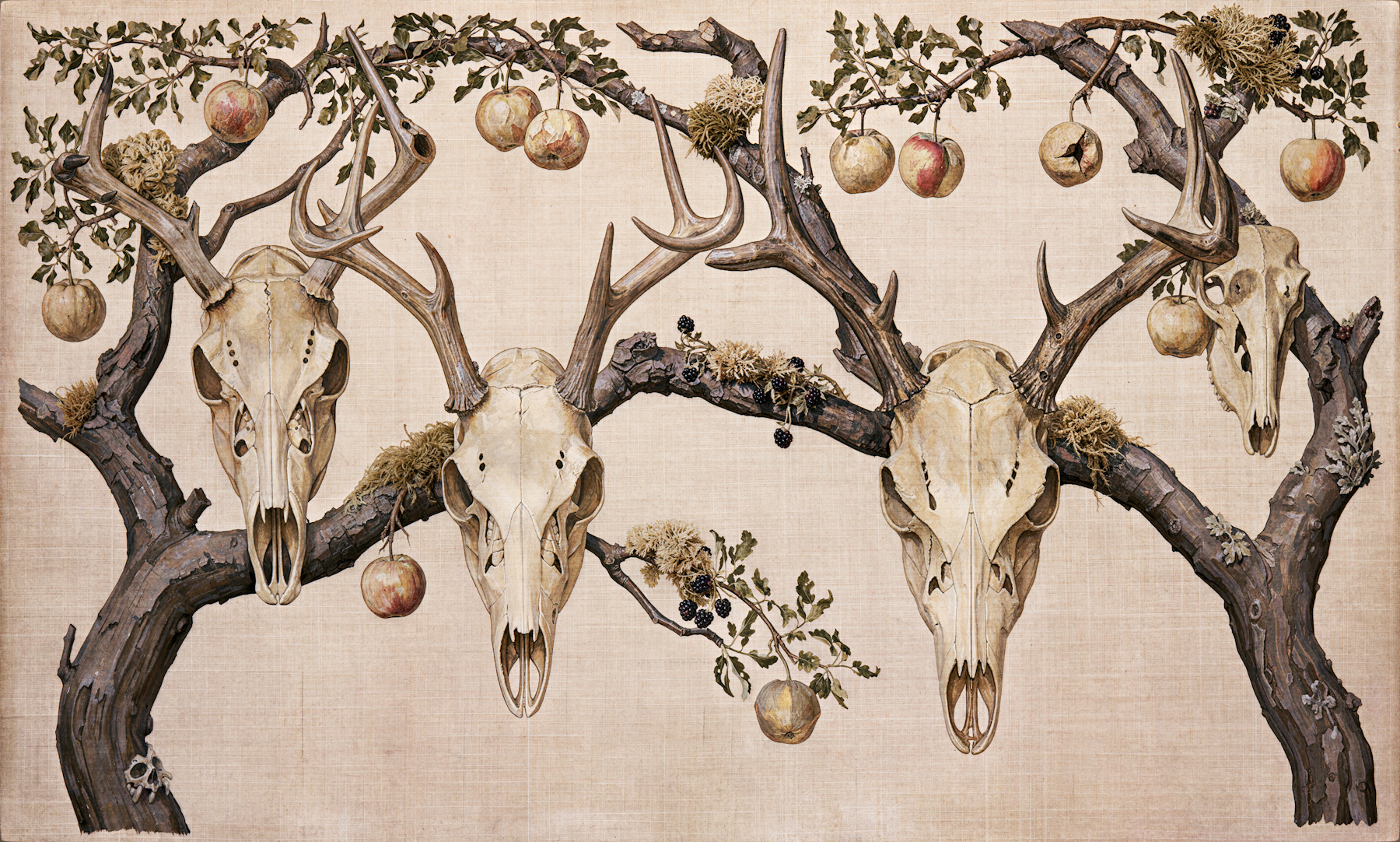 skullillustration
