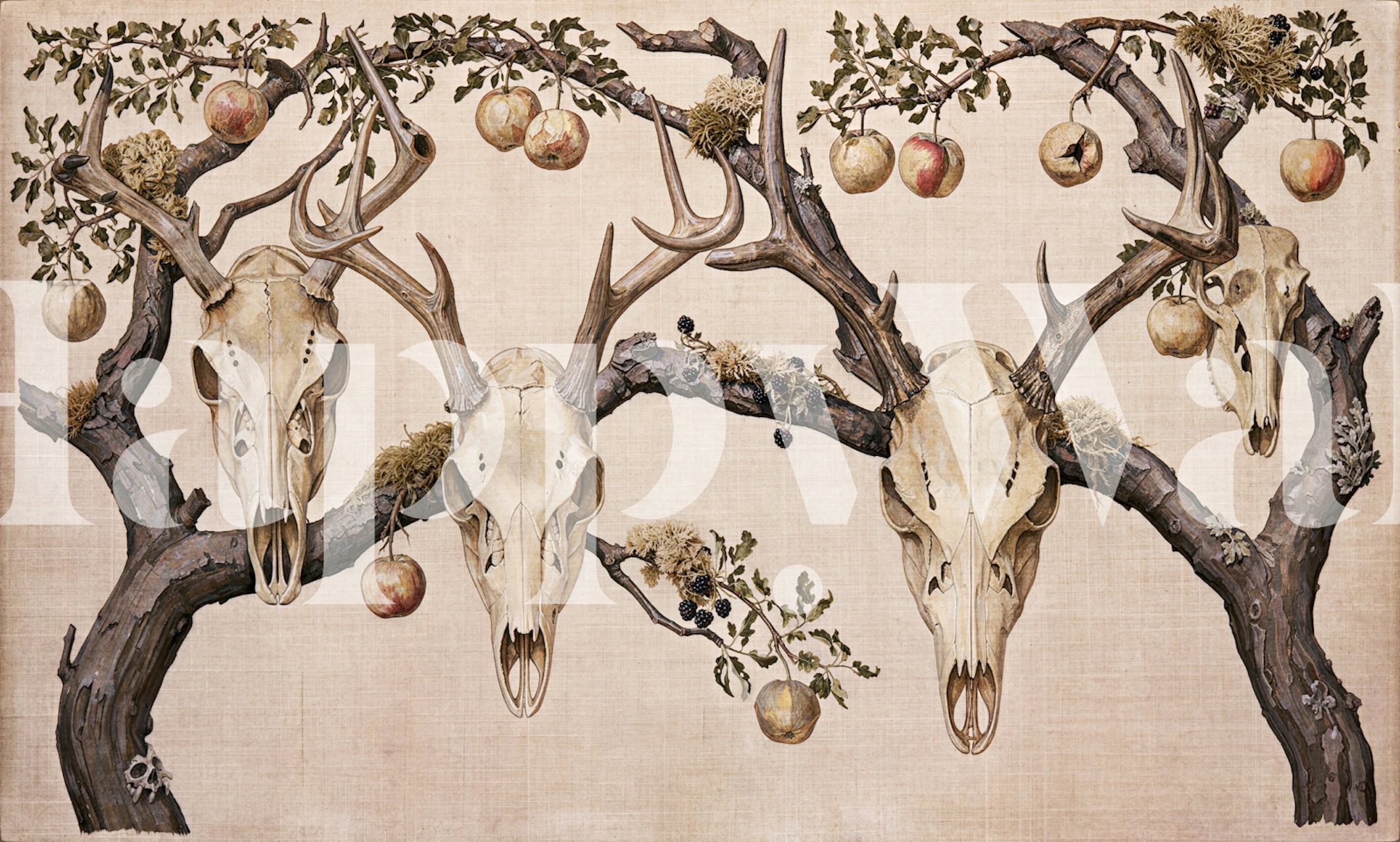 Vintage deer skull wallpaper in a rustic room