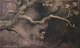Dark Gothic Raven on Branch Mural
