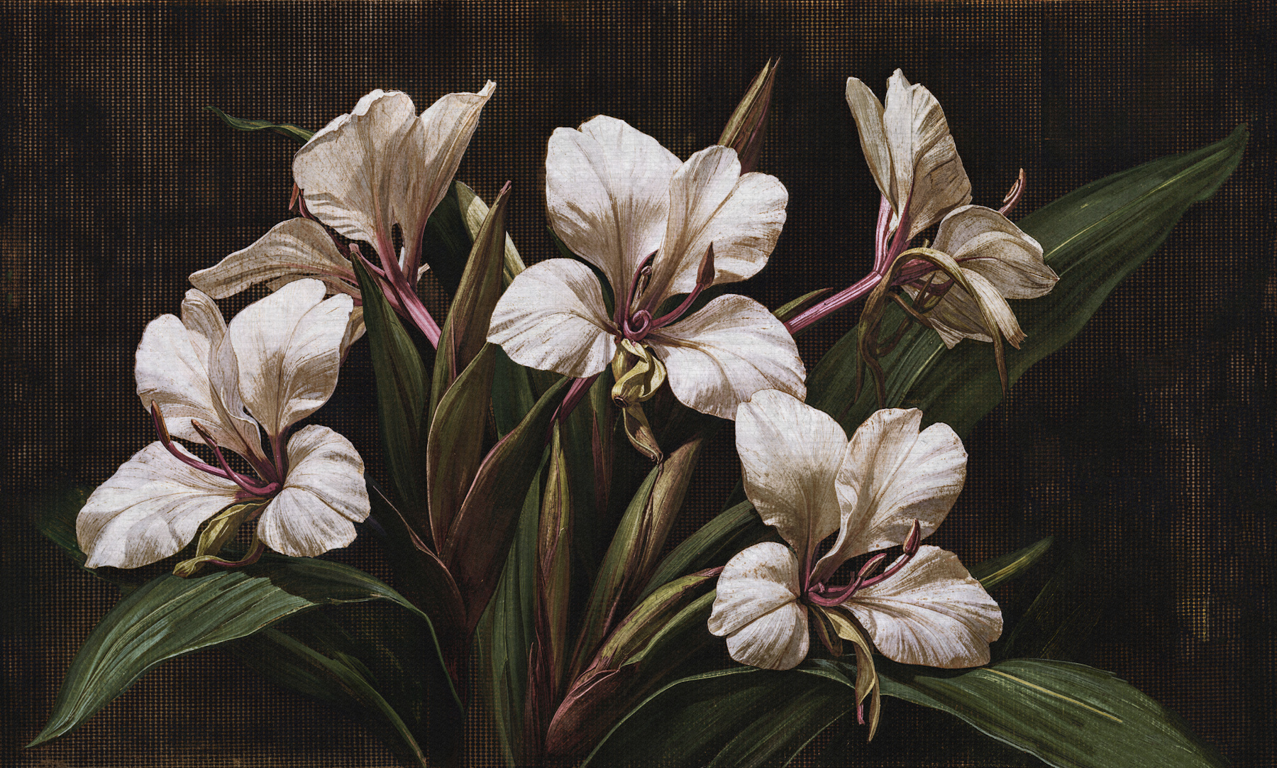 exoticflowers