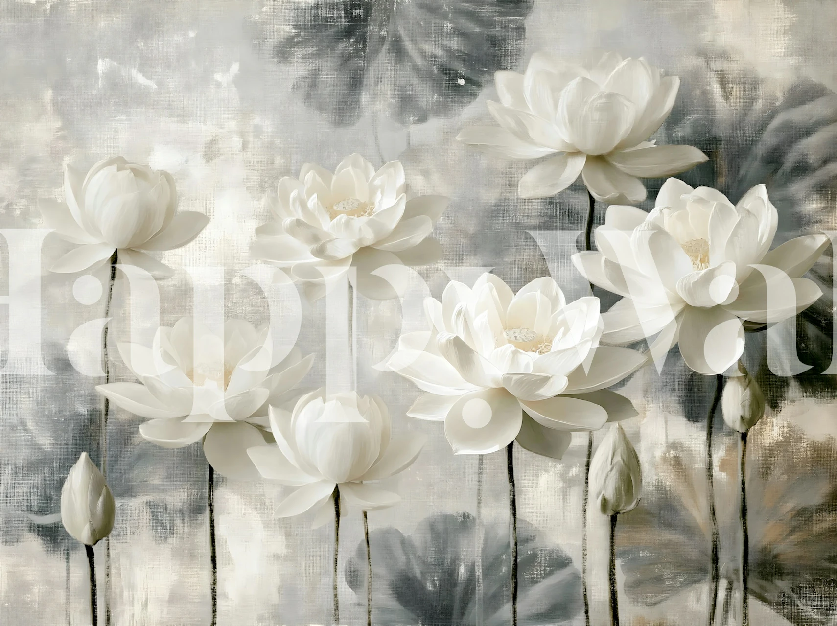 White Lotus Blossom Serenity wallpaper