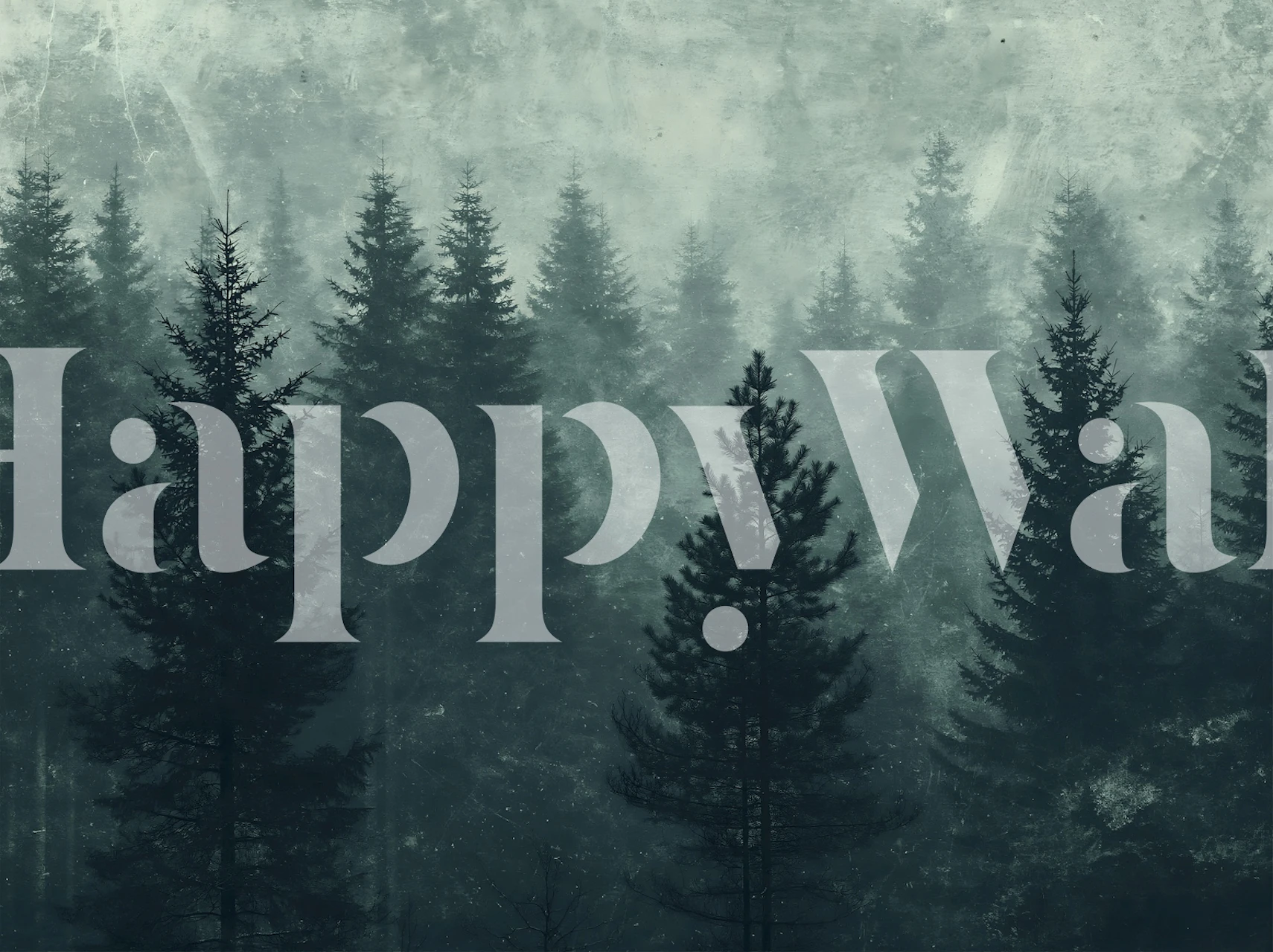 Foggy Evergreen Woods tapeet