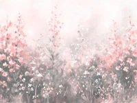 Blush Pink Wildflower Meadow tapet