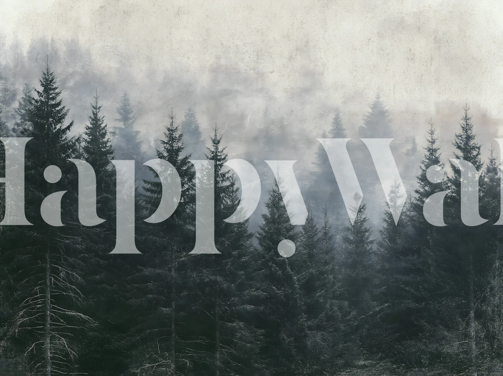 Foggy Pine Tree Silhouette papel de parede