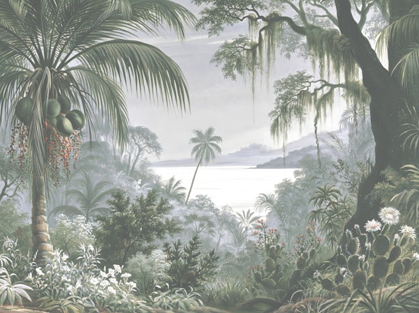 Misty Tropical Lagoon