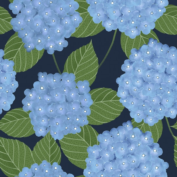 Blue Hydrangea Blooms Navy