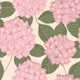 Blush Pink Hydrangea Blooms