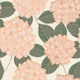 Peach Hydrangea Botanical