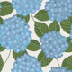 Hydrangea Leaves and Blooms