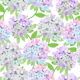 Hydrangeas
