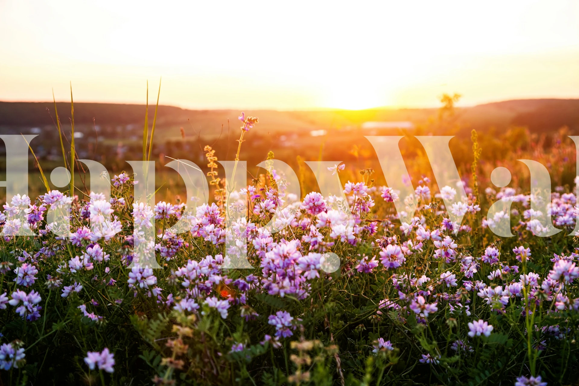 Vibrant Floral Haven tapete