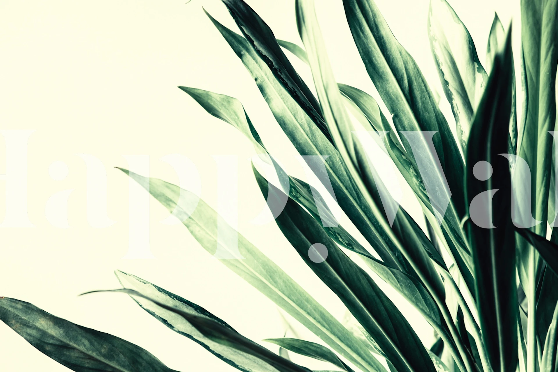 Lush Leafy Background tapet