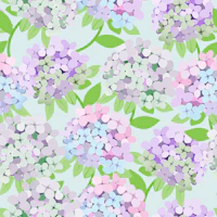 Hydrangea -sea breeze wallpaper