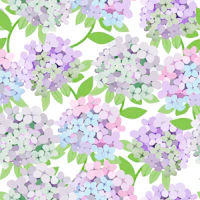 Big Hydrangeas wallpaper