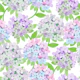 Big Hydrangeas