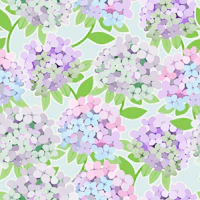 Hydrangea-outline sea breeze wallpaper